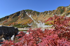 紅葉