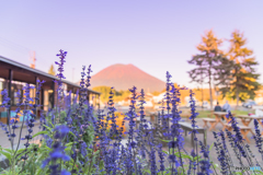 道の駅・羊蹄山