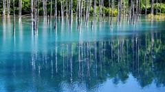 青い池