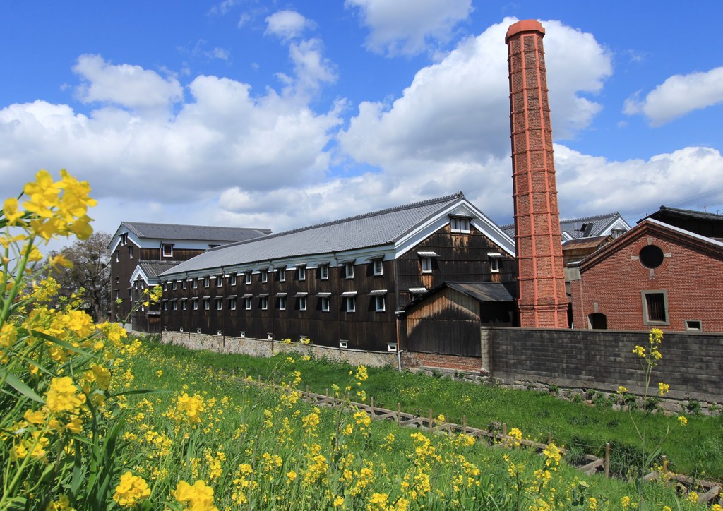 伏見散策　松本酒造と菜の花