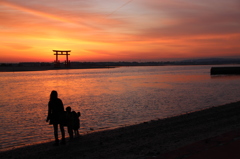 夕陽を眺めて