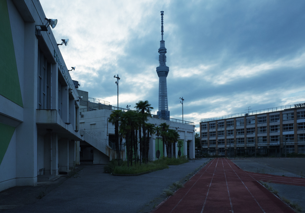 校庭からの風景