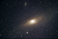 M31