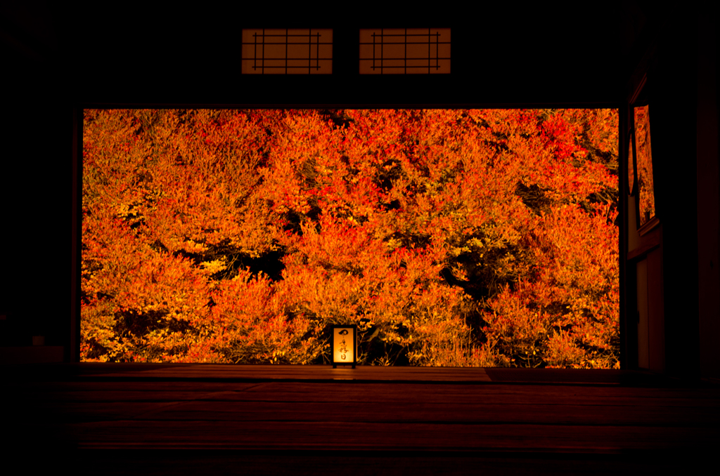 紅・安国寺