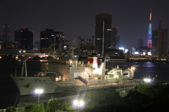 TOKYO night　晴海埠頭公園　２