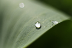 雫