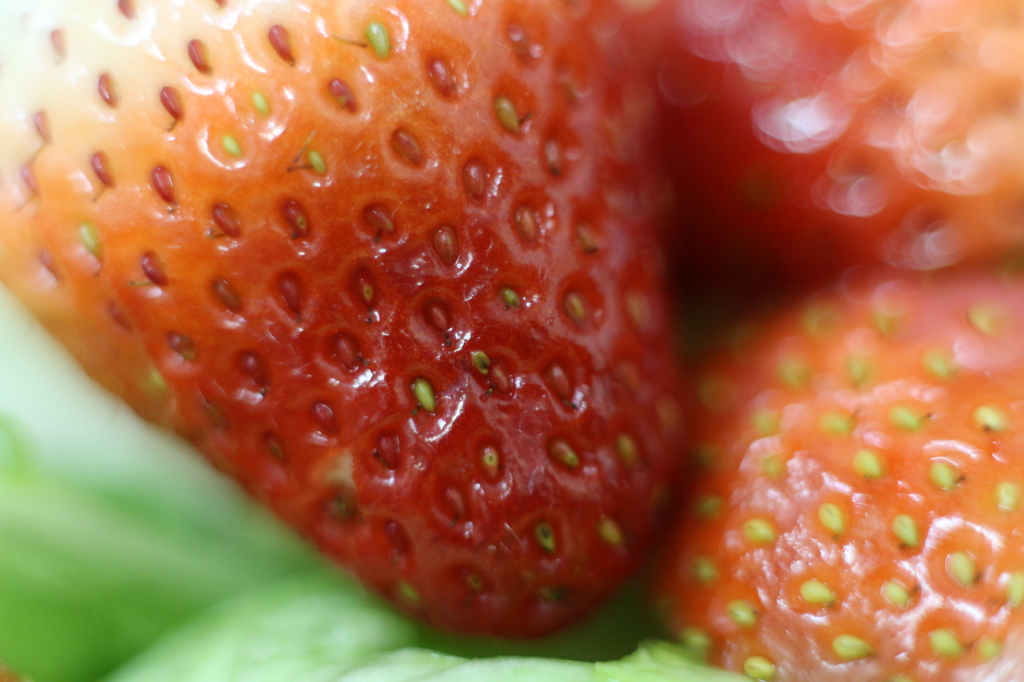 strawberry
