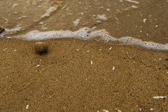 思い出の海