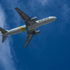 767