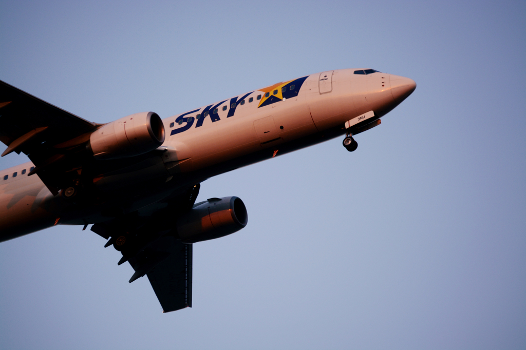 Twilight 737
