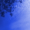 空青く、染まる桜　Hungary