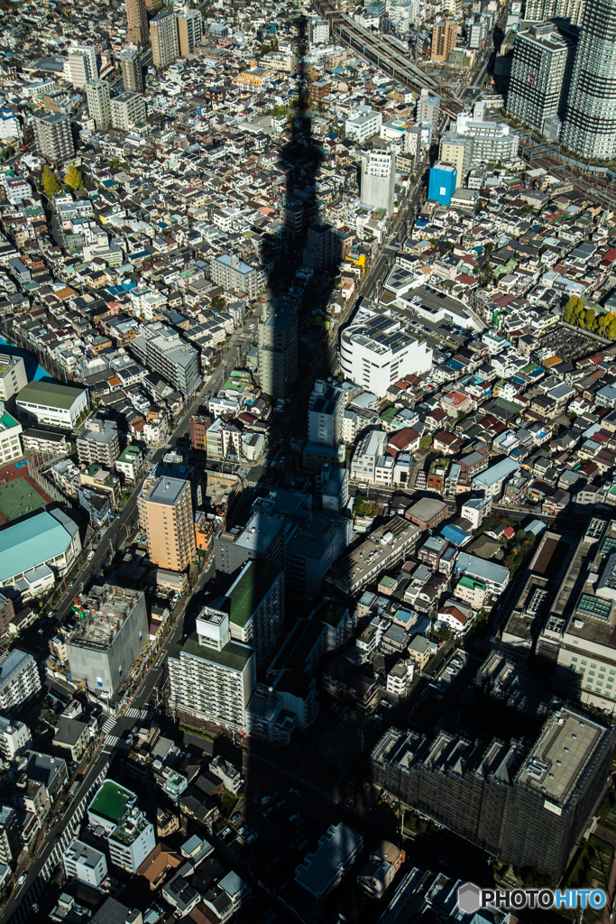 Skytree silhouette