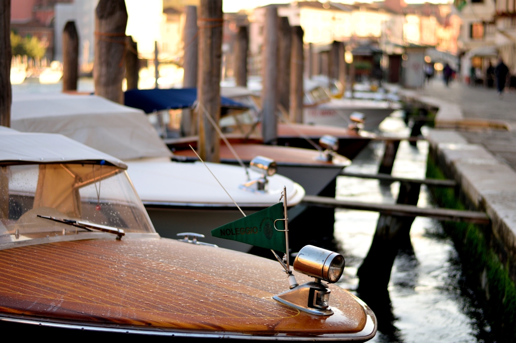 Sea Taxi at Venice