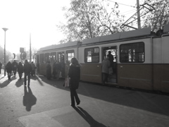 トラム1　Budapest