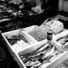 魚市場　Croatia Rovinj
