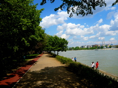マルギット島　河岸より Budapest