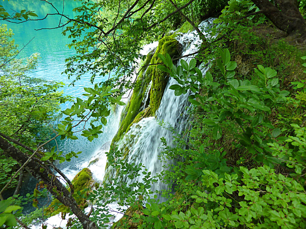 初夏のプリトヴィッチェ　Croatia Plitvice Lakes 