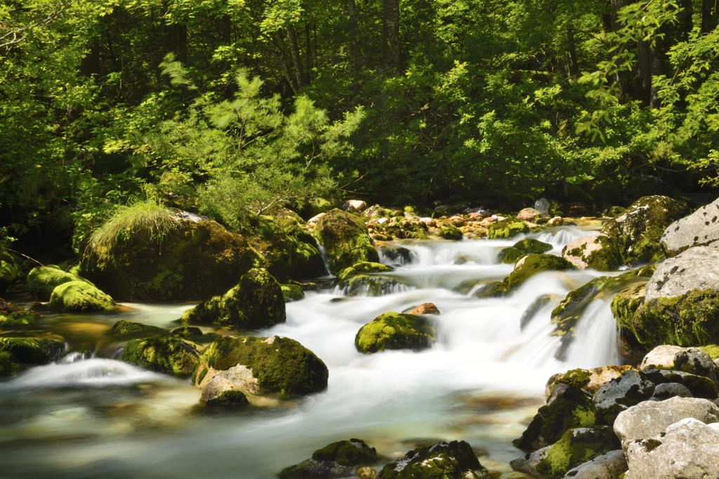 Sava Bohinka at Slovenia