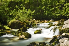 Sava Bohinka at Slovenia