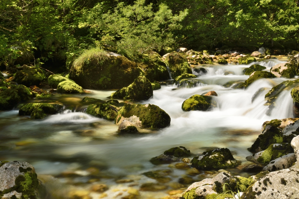 Sava Bohinka at Slovenia