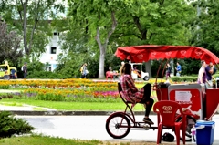 Drinks shop at Margit island park