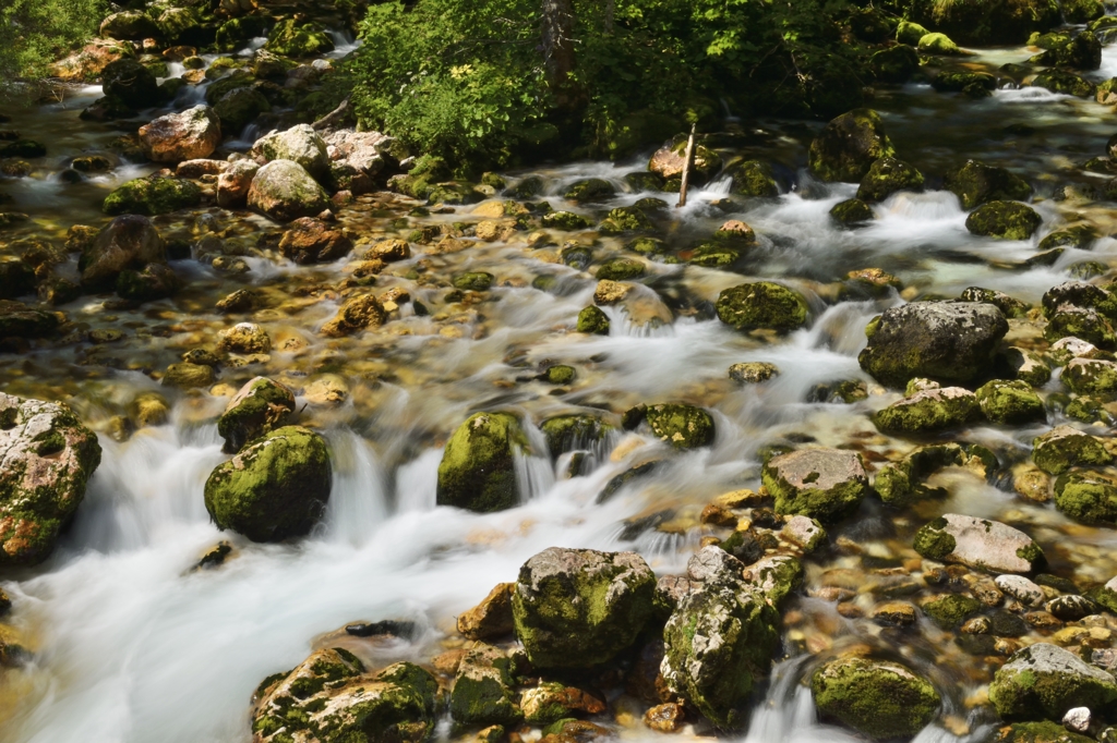 Sava Bohinka at Slovenia