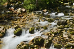 Sava Bohinka at Slovenia