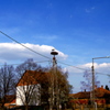 新居　お隣さんはコウノトリ　Hungary