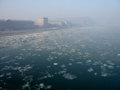 ドナウの流氷 2009年 Budapest ドナウの流氷 2009年 Budapest