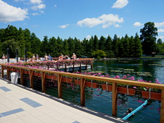 ヘーヴィーズ温泉湖1 　Hungary Heviz