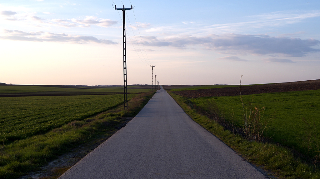 郊外に広がる畑　道　Hungary