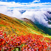 紅葉と滝雲