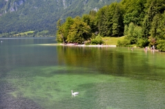 Bohinjsko jezero at Slovenia