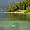 Bohinjsko jezero at Slovenia