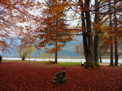 ボヒン湖　Slovenia