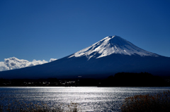 富士山