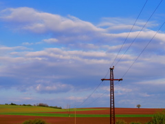 大地に送れ　Hungary