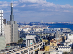 神戸ポートタワーからの景色　Kobe