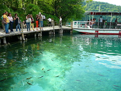 初夏のプリトヴィッチェ　Croatia Plitvice Lakes 