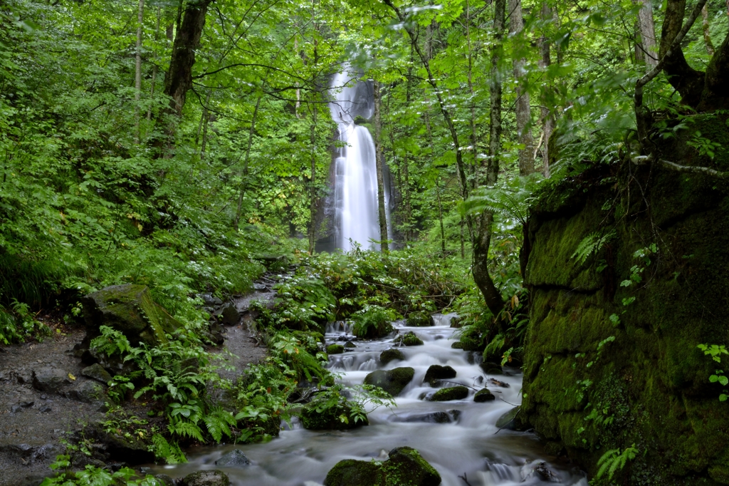 奥入瀬渓流　雲井の滝