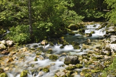 Sava Bohinka at Slovenia