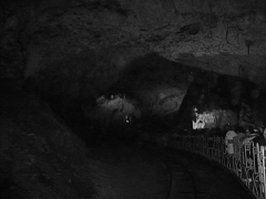 ポストイナ鍾乳洞　Slovenia