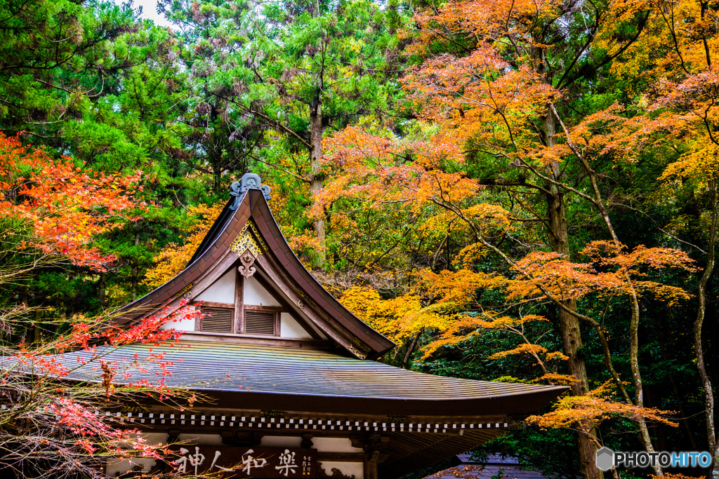 宝登山神社