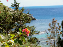 イゾラ・ベッラ湾3 Italy Sicily