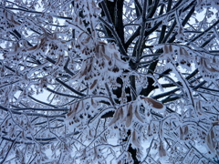 -10℃の世界　Hungary