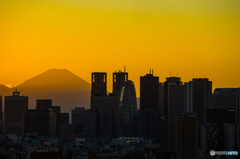 夕景　富士と高層ビル