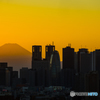 夕景　富士と高層ビル