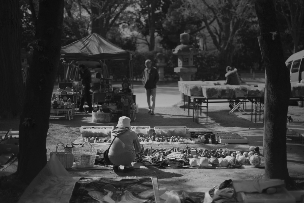 a lady in the antique market