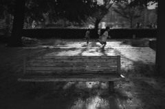 sunset bench