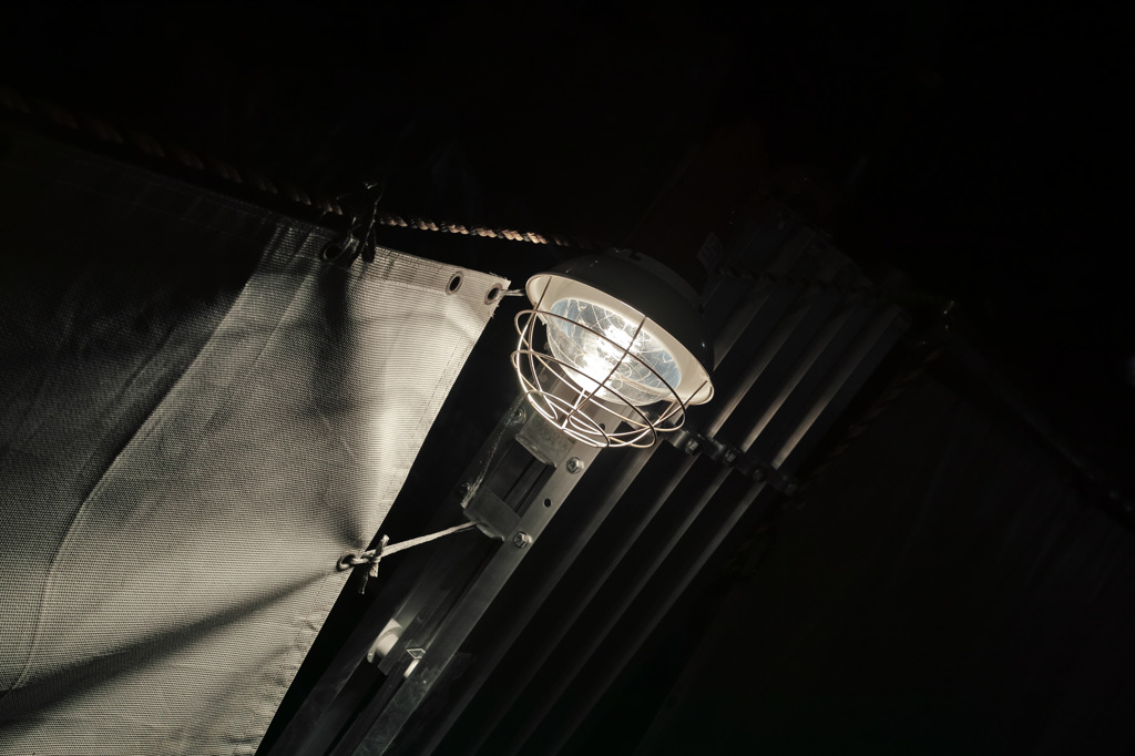 worker light